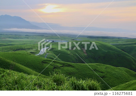 大観峰・阿蘇カルデラ(熊本県・阿蘇市) 大観峰・阿蘇カルデラ(熊本県・阿蘇市) 116275681