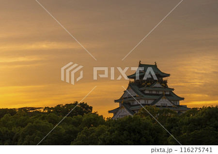 夕暮れ空と大阪城天守閣 116275741