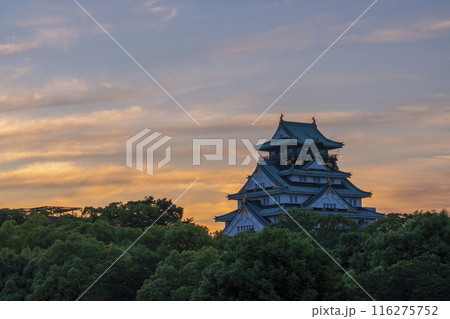 夕焼け空と大阪城天守閣 116275752