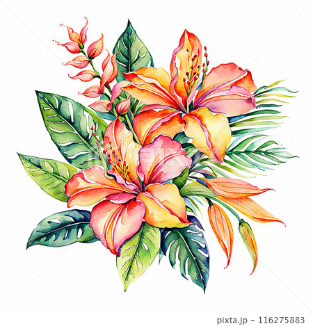 Watercolor style, tropical flower bouquet element isolated on white background. Hand drawn plants for the design of cards, bouquets, textiles Watercolor style, tropical flower bouquet element isolated on white background. Hand drawn plants for the design of cards, bouquets, textiles 116275883