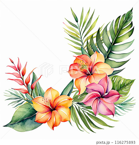 Watercolor style, tropical flower bouquet element isolated on white background. Hand drawn plants for the design of cards, bouquets, textiles Watercolor style, tropical flower bouquet element isolated on white background. Hand drawn plants for the design of cards, bouquets, textiles 116275893
