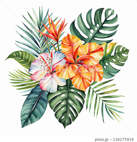Watercolor style, tropical flower bouquet element isolated on white background. Hand drawn plants for the design of cards, bouquets, textiles Watercolor style, tropical flower bouquet element isolated on white background. Hand drawn plants for the design of cards, bouquets, textiles 116275919