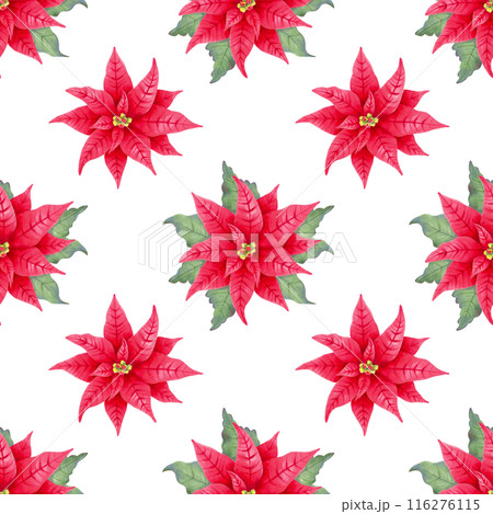 Seamless pattern with poinsettia flower with leaves. Illustration with watercolor and marker. Christmas and New Year. Hand drawn isolated art. Red plant with star flower for winter holidays. Seamless pattern with poinsettia flower with leaves. Illustration with watercolor and marker. Christmas and New Year. Hand drawn isolated art. Red plant with star flower for winter holidays. 116276115
