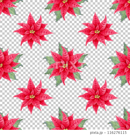Seamless pattern with poinsettia flower with leaves. Illustration with watercolor and marker. Christmas and New Year. Hand drawn isolated art. Red plant with star flower for winter holidays. 116276115