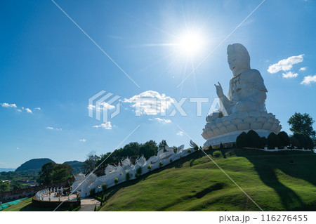 Wat Huay Pla Kang in Chiang Rai, Thailand Wat Huay Pla Kang in Chiang Rai, Thailand 116276455