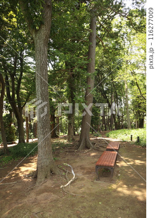 森の中のベンチ（横浜市鶴見区馬場二丁目公園） 116277009
