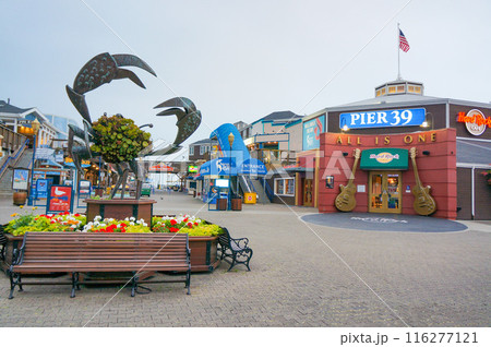 サンフランシスコのピア39 サンフランシスコのピア39 116277121