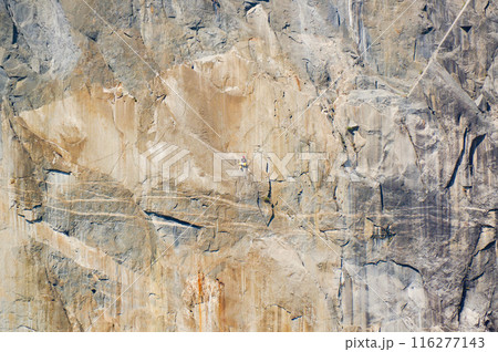 大きな岩壁をロッククライミングする人 116277143