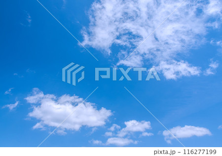 爽やかな青空 5 116277199