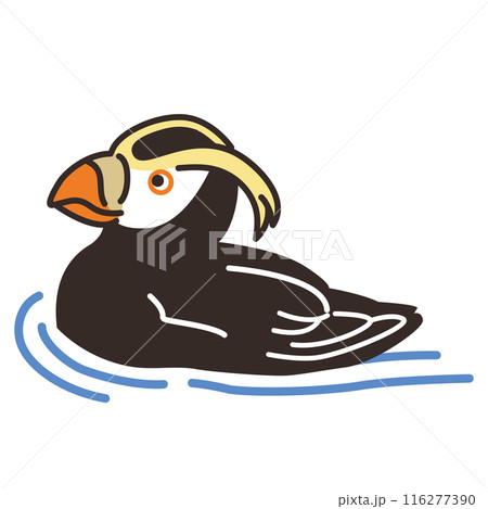 エトピリカのイラスト(泳いでる) 116277390