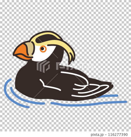 エトピリカのイラスト(泳いでる) 116277390