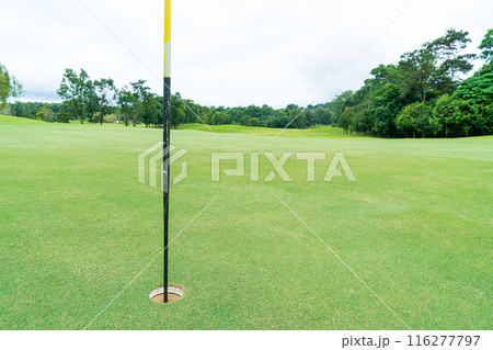 Green with Sand bunkers on Golf course 116277797