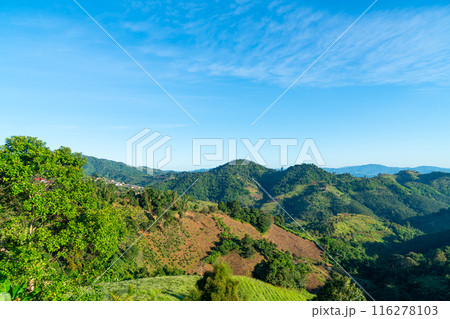 beautiful mountain hill layer with blue sky 116278103