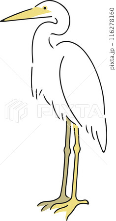 手描きのサギのイラストのイラスト素材 [116278160] - PIXTA