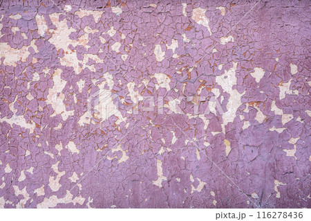 Old peeling paint background. Old flakes pink paint texture wall surface 116278436