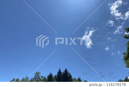 空とシャボン玉 空とシャボン玉 116278579