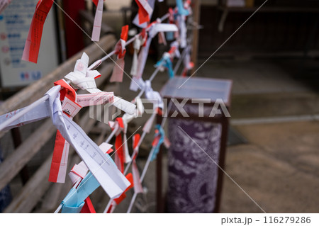 江ノ島の神社に結ばれたおみくじ 116279286