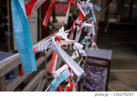 江ノ島の神社に結ばれたおみくじ 116279287