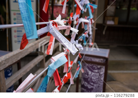 江ノ島の神社に結ばれたおみくじ 116279288