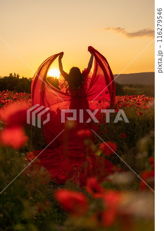 Woman poppy field red dress sunset. Happy woman in a long red dress in a beautiful large poppy field. Blond stands with her back posing on a large field of red poppies Woman poppy field red dress sunset. Happy woman in a long red dress in a beautiful large poppy field. Blond stands with her back posing on a large field of red poppies 116279546