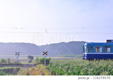 朝霧の中を走る銚子電鉄 116279570