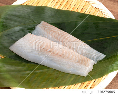 マコガレイの刺身 天然 千葉県産 マコガレイの刺身 天然 千葉県産 116279605