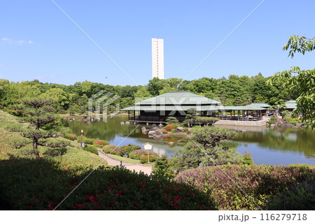 堺市大仙公園内の日本庭園新緑風景 116279718