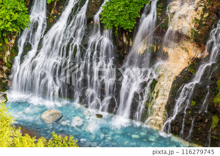 「北海道」白ひげの滝・白金温泉　美瑛町白金 116279745