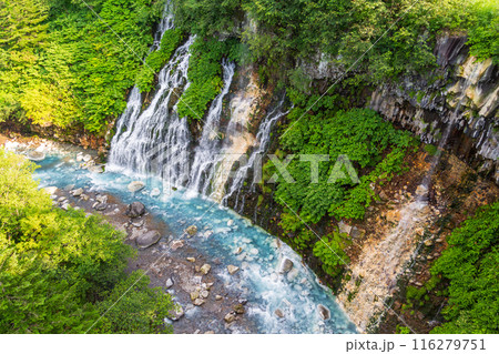 「北海道」白ひげの滝・白金温泉　美瑛町白金 116279751