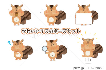 手書き風　かわいいリスのポーズセット 116279888