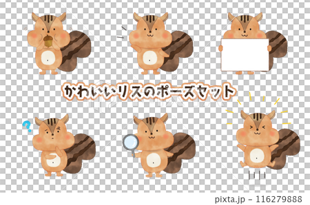手書き風　かわいいリスのポーズセット 116279888