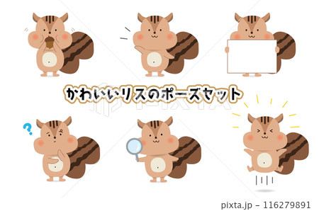 かわいいリスのポーズセット 116279891