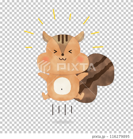 手繪向量插畫的快樂松鼠 116279895