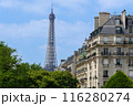 フランス・パリの街並みとエッフェル塔 116280274