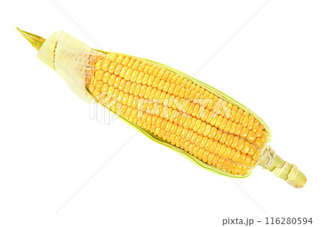 sweet corn isolated sweet corn isolated 116280594