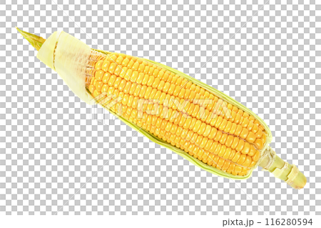 sweet corn isolated sweet corn isolated 116280594