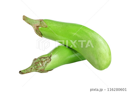 green eggplant isolated green eggplant isolated 116280601