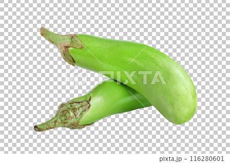 green eggplant isolated green eggplant isolated 116280601