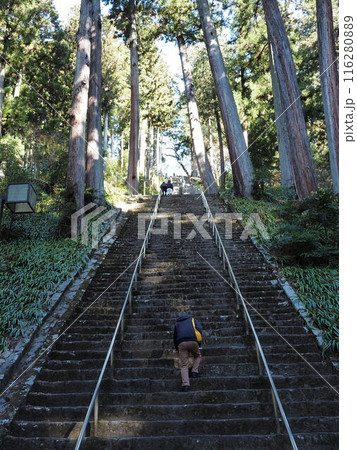 階段を登る 116280889