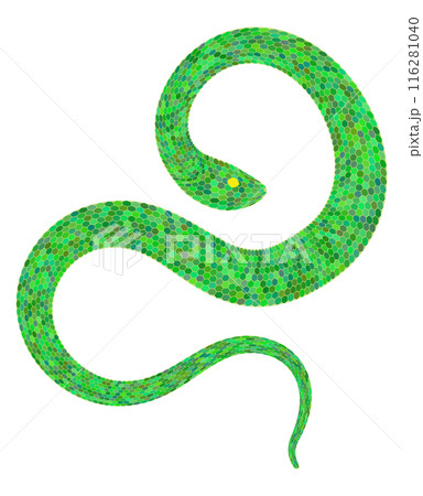 Abstract green snake 116281040