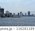 東京湾から見た建設中の高層ビルとブリッジ 116281189