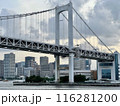 レインボーブリッジの見える風景 116281200