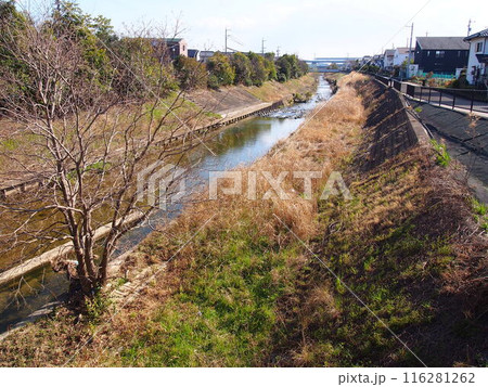 逢妻女男川の風景 116281262