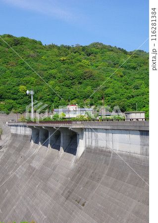 兵庫県淡路島　大日ダム 116281384
