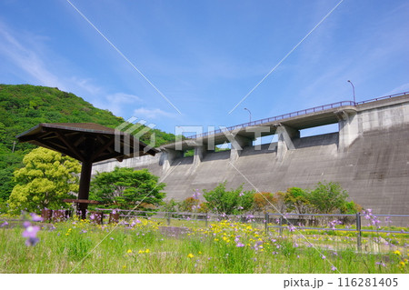 兵庫県淡路島 大日ダム 兵庫県淡路島 大日ダム 116281405