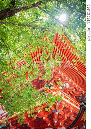 東京　神田明神の風景 116281869