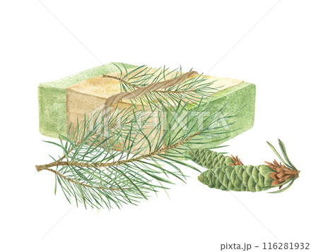 Green Soap bar wrapped in paper and tied with jute rope. Pine branch and cones next to spruce bath soap. Natural product. Hemp burlap ropes tied in bows. Watercolor illustration isolated on white. 116281932