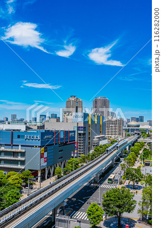 東京 お台場のビル群 東京 お台場のビル群 116282000
