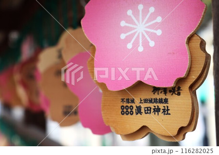 上田城址公園 上田城址公園 116282025