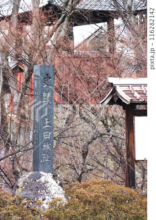 上田城址公園 116282142